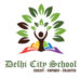Delhi City School